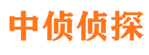 平利寻人公司